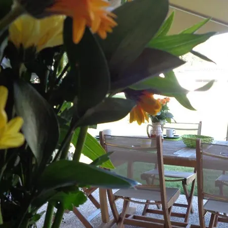 Au Bord De L'etang Avec Terrasse Privative, Parfaits Pour La Peche Et Detente En Nature - Fr-1-496-88 Holiday home *